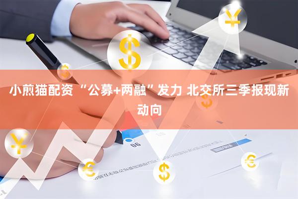 小煎猫配资 “公募+两融”发力 北交所三季报现新动向