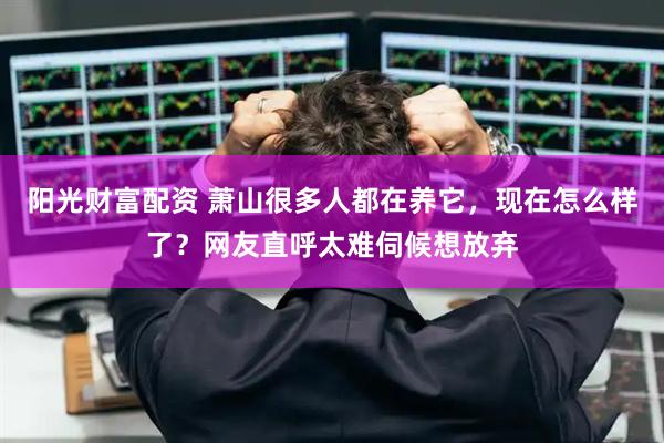 阳光财富配资 萧山很多人都在养它，现在怎么样了？网友直呼太难伺候想放弃